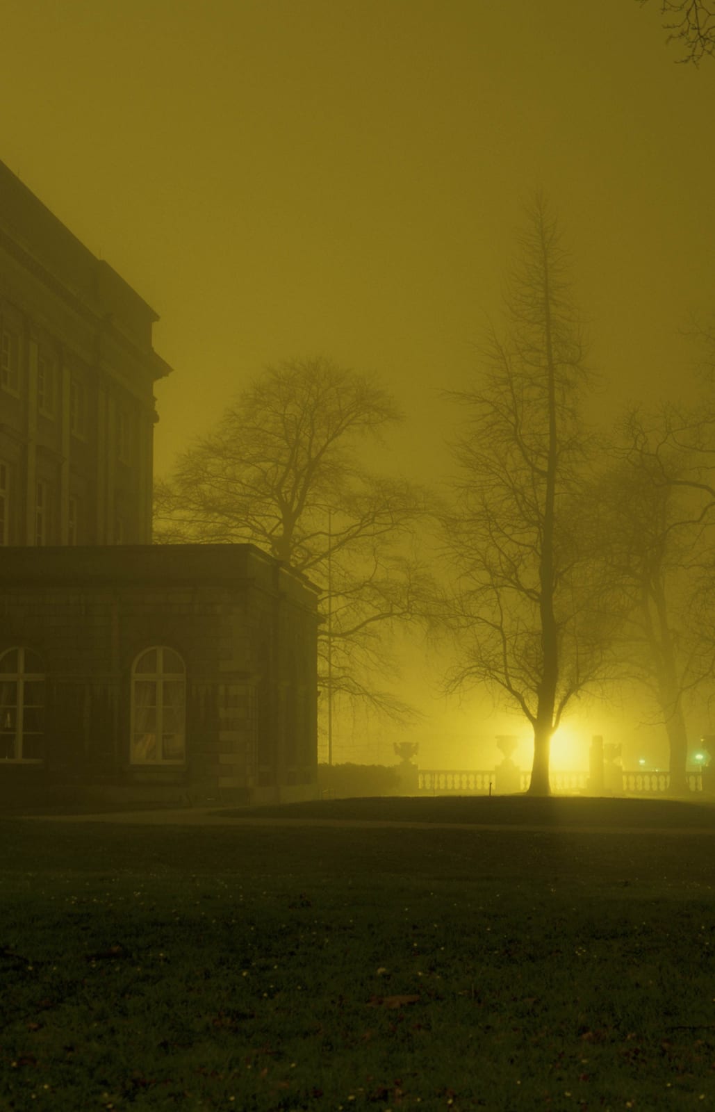 Un arbre nu devant l’angle d’un édifice classique, dans une brume jaune uniforme