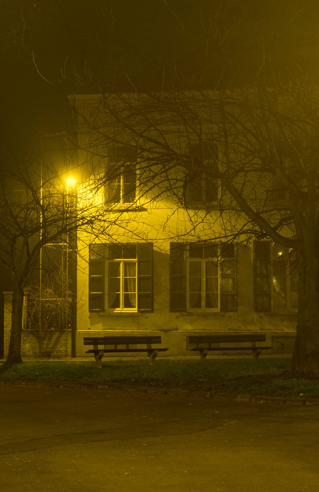 Deux bancs devant une maison éclairée, encadrés par deux arbres, dans la nuit