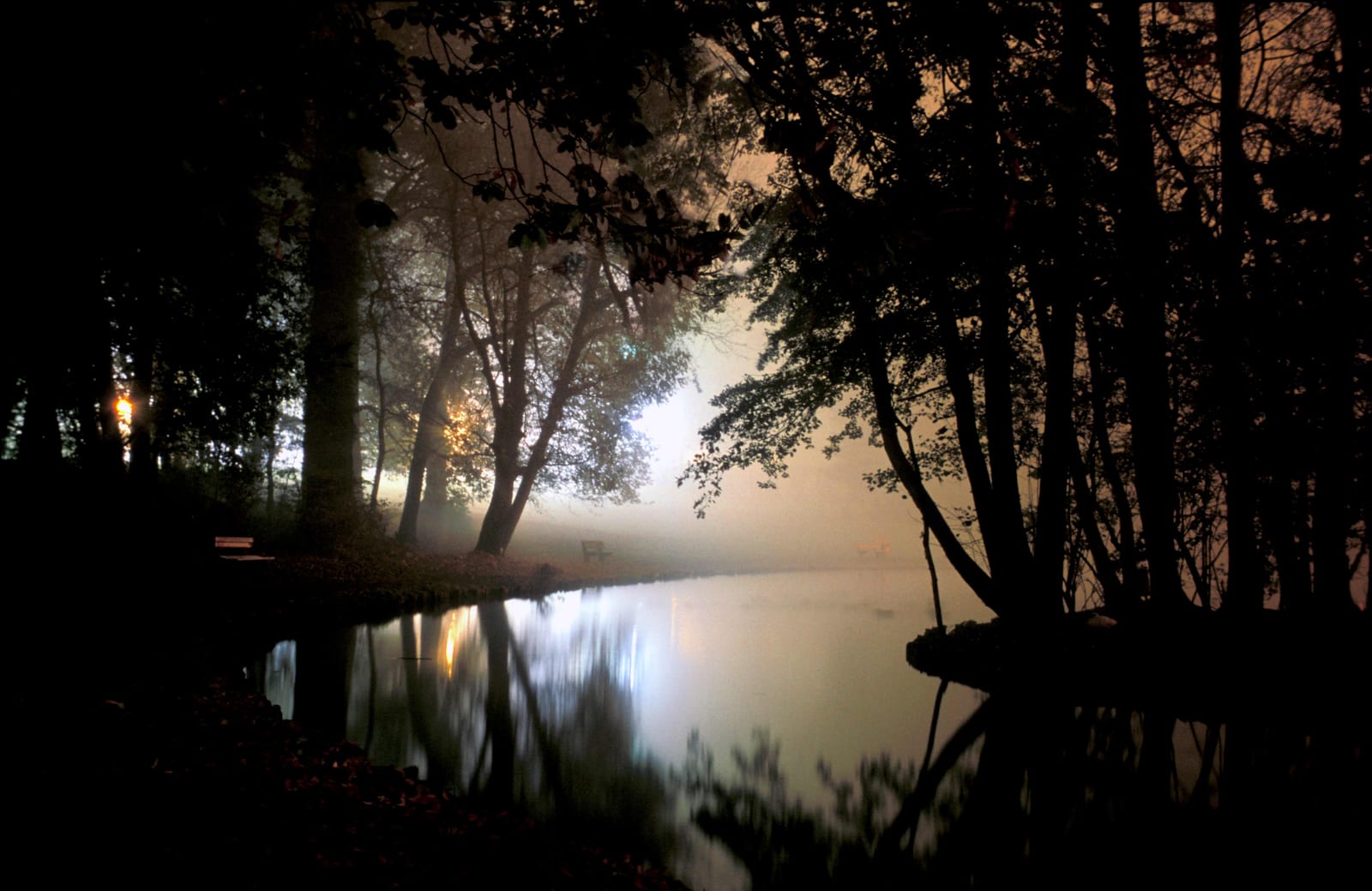 Un étang cerné d’arbres, une trouée de lumière pâle au fond et son reflet sur l’eau immobile