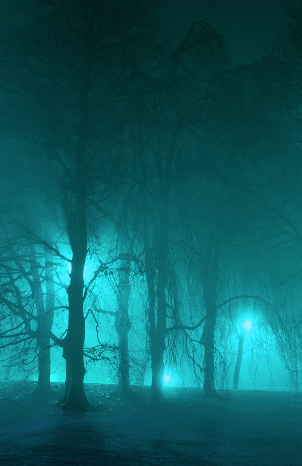 Des arbres nus baignés d’une lumière turquoise dans un brouillard dense