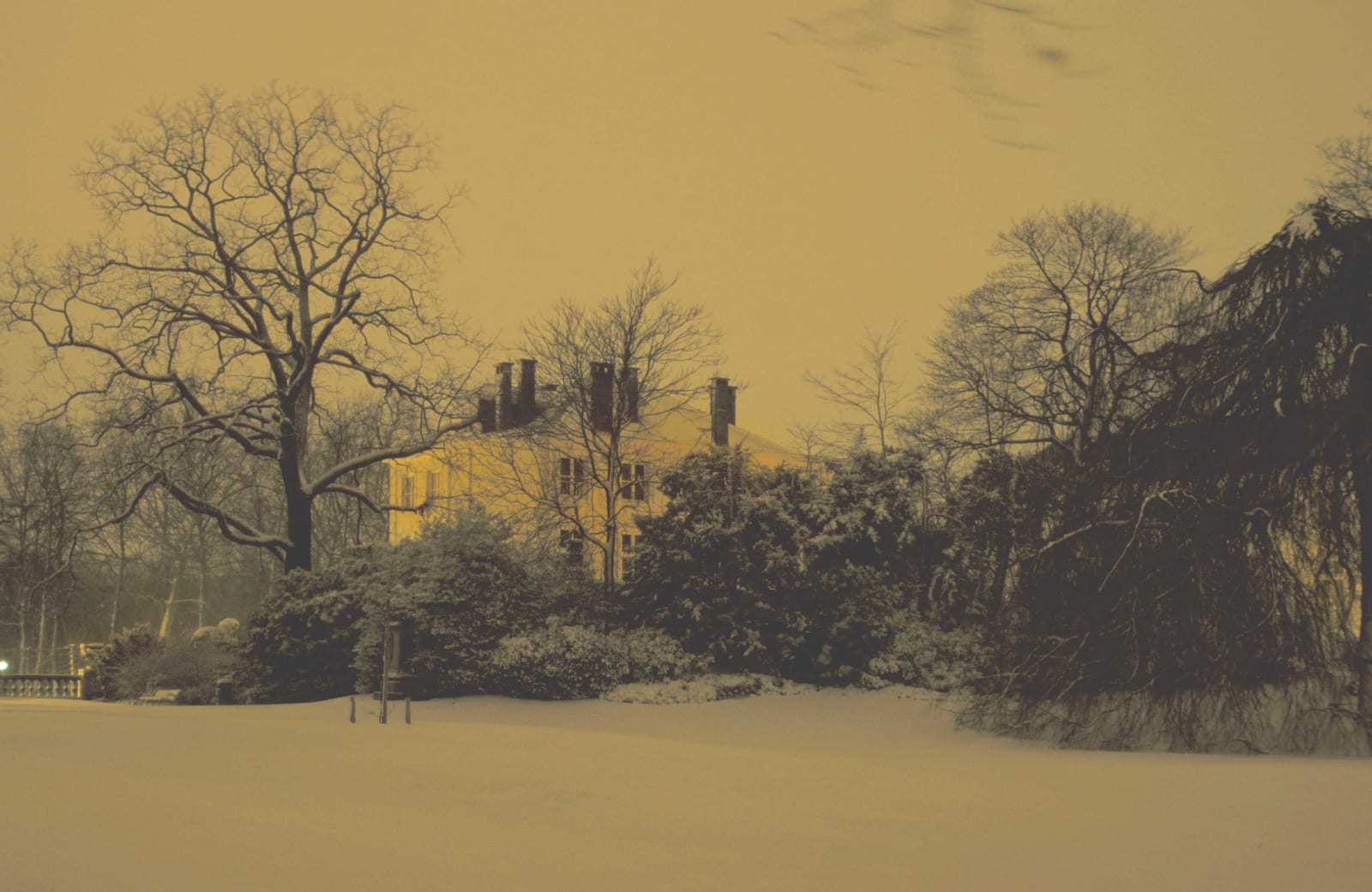 Une demeure derrière des arbres nus, sous la neige, dans une lumière sépia