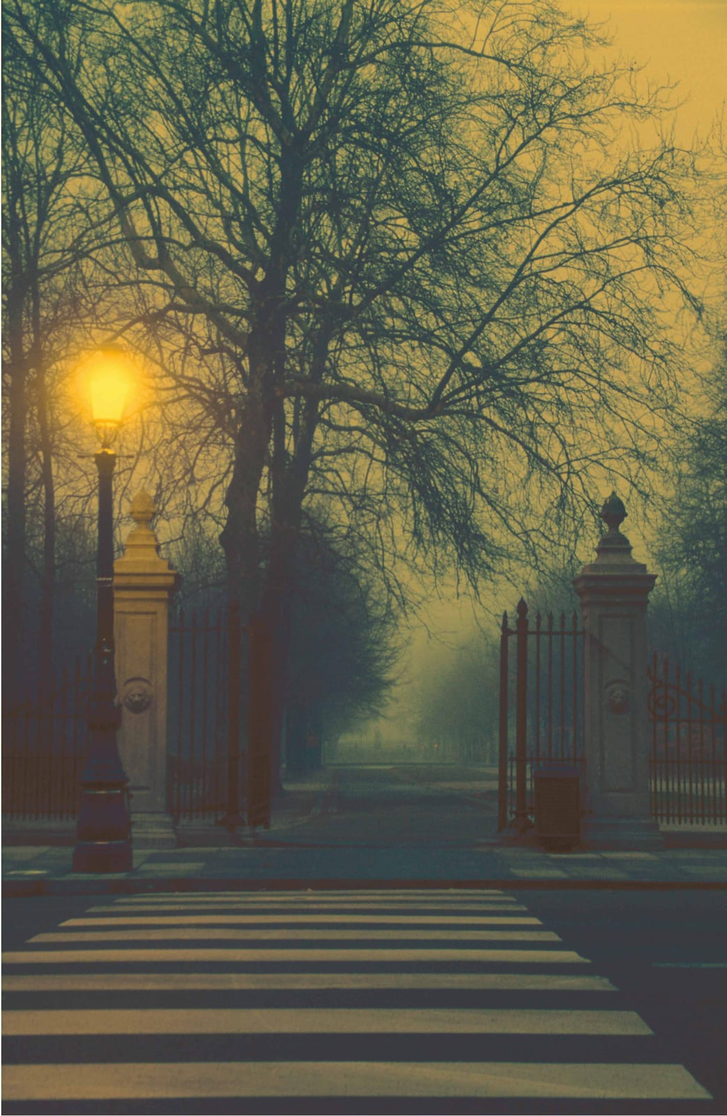 L’entrée d’un parc au petit matin, ses grilles ouvertes, un réverbère encore allumé